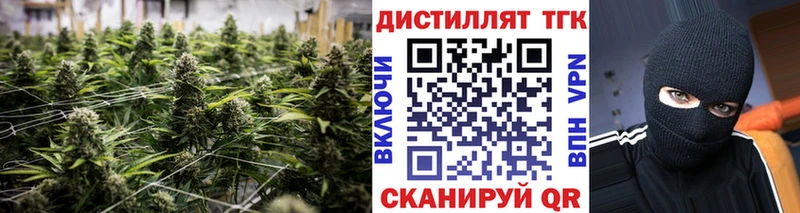 наркота  Георгиевск  ТГК гашишное масло 