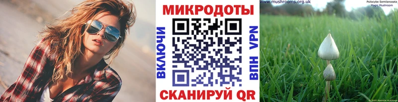 магазин наркотиков Георгиевск Галлюциногенные грибы Psilocybine cubensis
