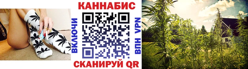 магазин продажи наркотиков  Георгиевск  Конопля марихуана 
